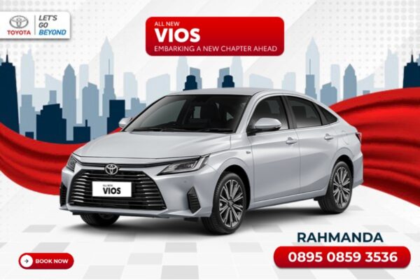 All New Vios